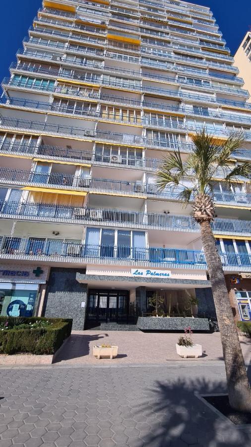 Estudio Las Palmeras 12 If بينايدورم المظهر الخارجي الصورة